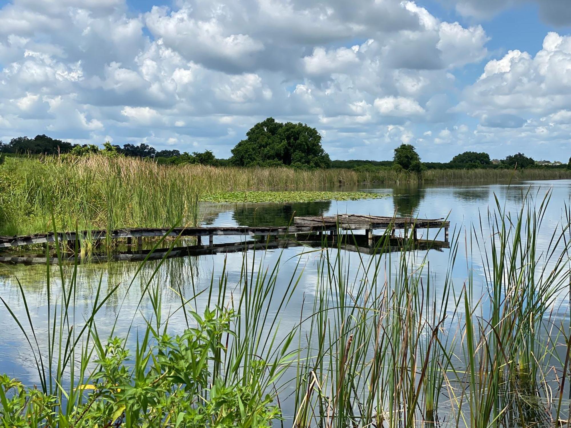 The Scandinavian Contemporary Blauw Lake Alfred 外观 照片